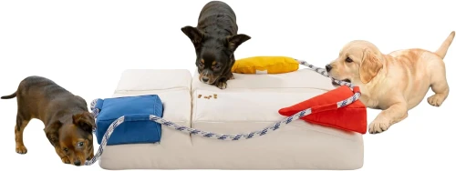 Dynamiczna scena, w której trzy psy aktywnie bawią się na dużym, beżowym legowisku, sofie o modułowej konstrukcji.