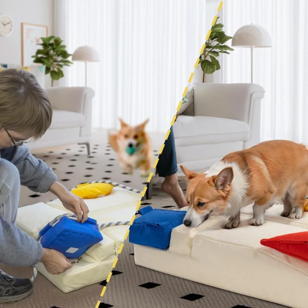 Zdjęcie przedstawia wszechstronność modułowego legowiska dla psa, idealnie pasującego do nowoczesnego salonu.