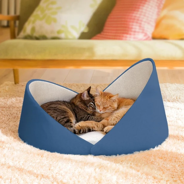 Dwa koty, pręgowany i rudy, śpiące razem w miękkim, niebieskim legowisku dla kotów, zaprojektowanym z podwyższonymi krawędziami muszli.