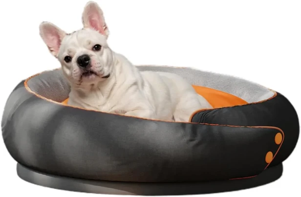 Buldog francuski siedzący w okrągłym, przytulnym legowisku, sofie. Legowisko jest dwukolorowe.