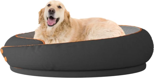 Radosny pies rasy Golden Retriever, który leży w dużym, okrągłym legowisku. Legowisko ma ciemnoszary kolor i jaśniejszą wyściółkę wewnątrz.