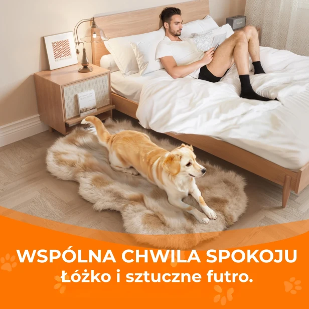 Mężczyzna odpoczywający w łóżku i golden retriever leżący na puszystym, sztucznym dywaniku futrzanym.