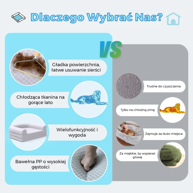 Zdjęcie jest grafiką marketingową zatytułowaną "Dlaczego Wybrać Nas?".