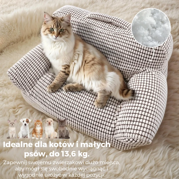 Duży, puszysty kot siedzi na legowisku dla zwierząt w kształcie sofy.