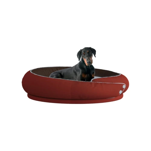 Duży, czarny pies rasy doberman siedzi w komfortowym, przytulnym okrągłym legowisku z wysokimi, miękkimi brzegami, w intensywnym kolorze czerwieni/bordo.