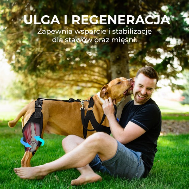 Mężczyzna z psem w parku, pies ma na nodze Stabilizator kolana dla psa
