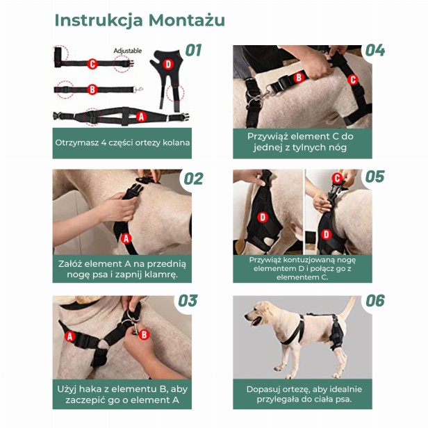 Stabilizator kolana dla psa, instrukcja montażu.