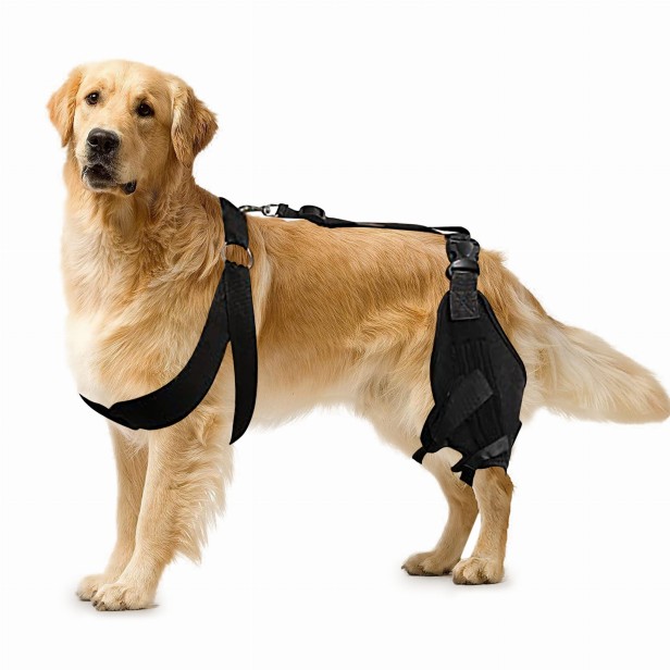 Stabilizator kolana dla psa