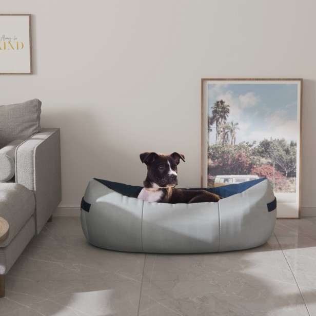 Pies siedzący w Szczęśliwy Pyszczek - Legowisko w salonie