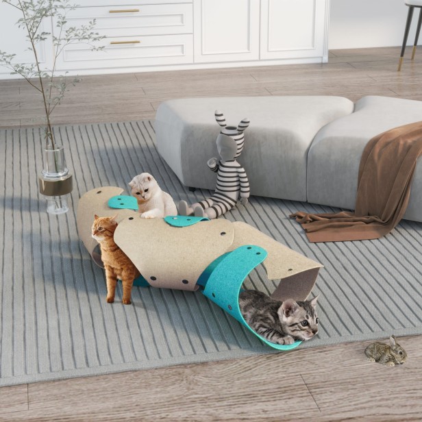 Koty bawiące się w salonie w Koci Tunel Z Filcu