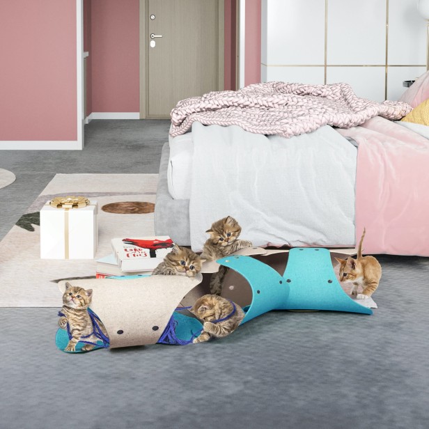 Koty bawiące się w sypialni w Koci Tunel Z Filcu