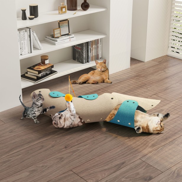 Koty bawiące się w salonie w Koci Tunel Z Filcu