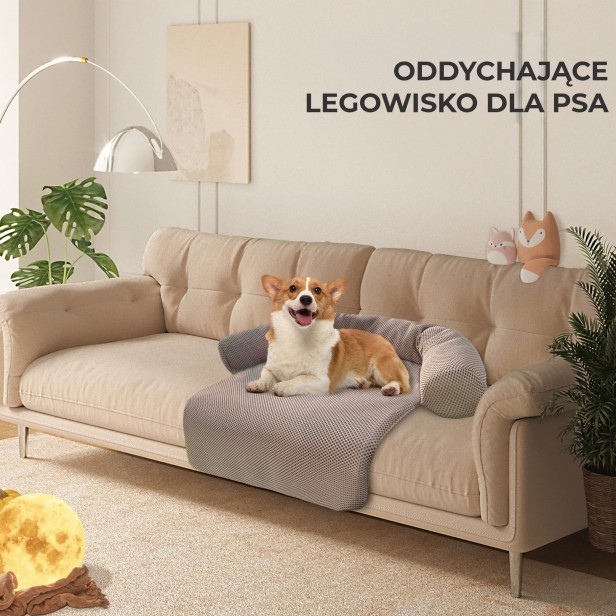 Pies leżący na Przewiewnym Legowisku dla Psa/Kota na Kanapie.