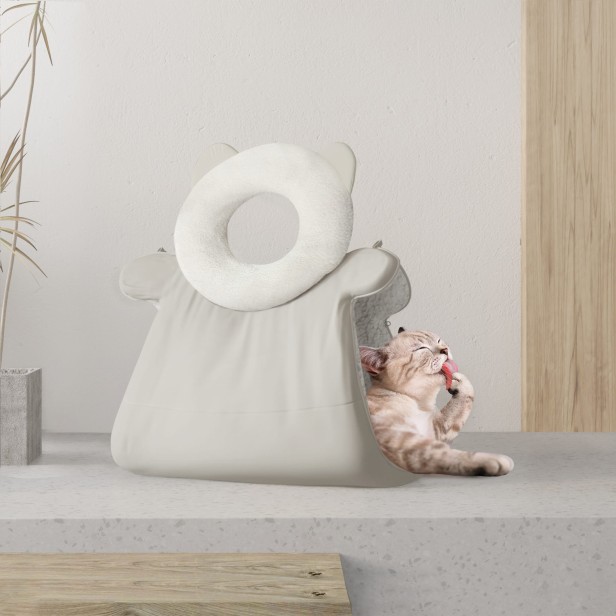 Kot leżący w Innowacyjnym Wielozadaniowym Legowisku Dla Kota