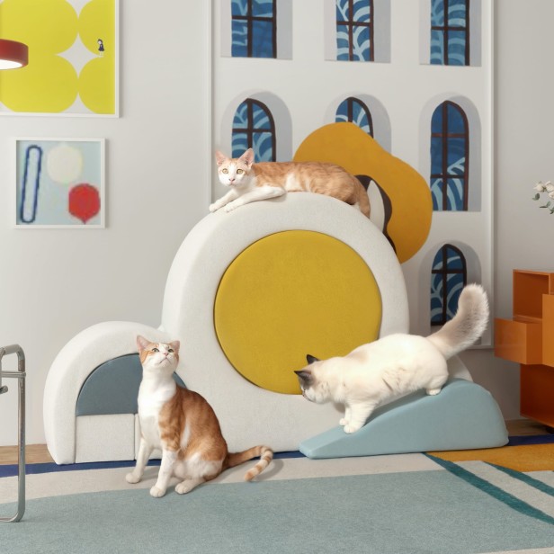 Koty bawiące się na Kociej Drabince Wspinaczkowej.