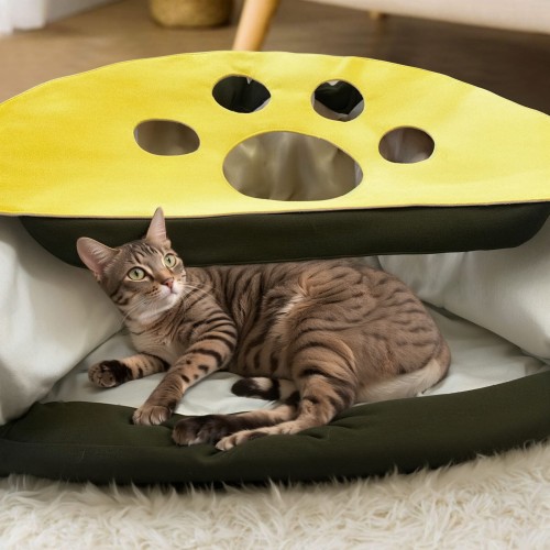 Kot leżący w Trójkątnym Tunelu dla Kota