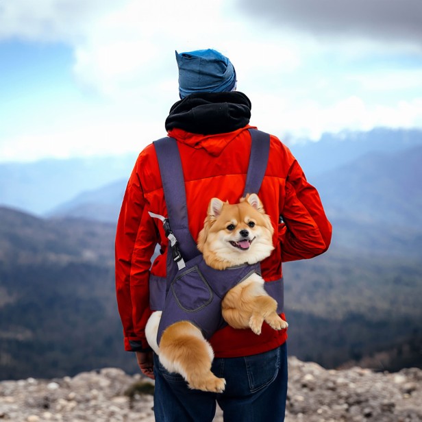 Mężczyzna trzymający psa w Poziomy Transporter do Noszenia Zwierząt