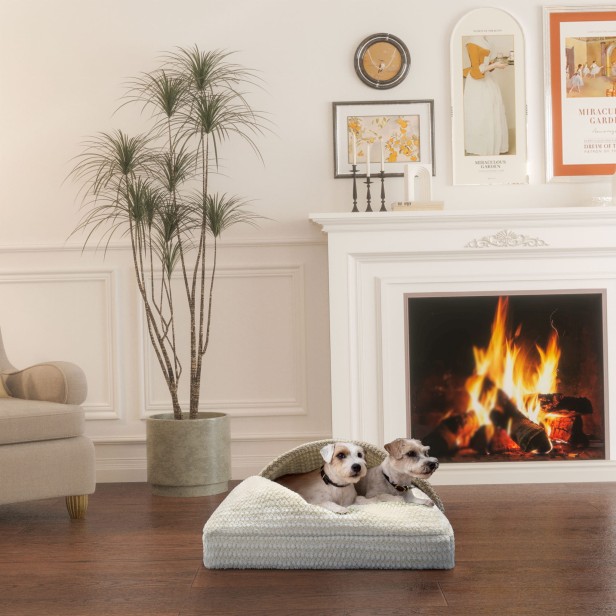 2 psy leżące w domu przy kominku na Pikowane Legowisko dla Psa - Kieszeń