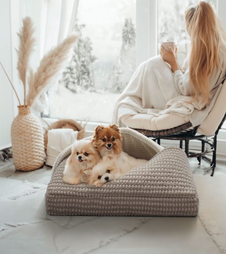 3 psy leżące na Pikowane Legowisko dla Psa - Kieszeń