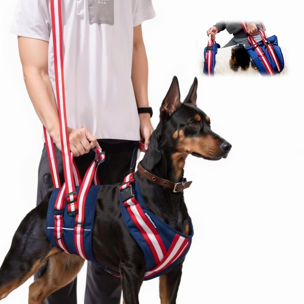 Szelki Wspierające dla Psa