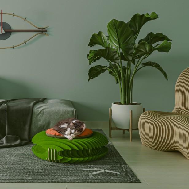 Legowisko Filcowe DIY dla Zwierzaka, aranżacja w salonie