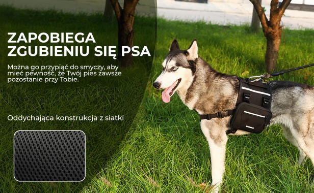 Plecak dla Psa, szczegóły.