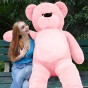 Daney-teddy-teddy-6foot-white-025.JPG